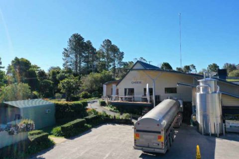 maleny cheese tours